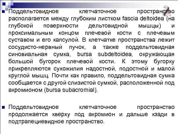 n Поддельтовидное клетчаточное пространство располагается между глубоким листком fascia deltoidea (на глубокой поверхности дельтовидной