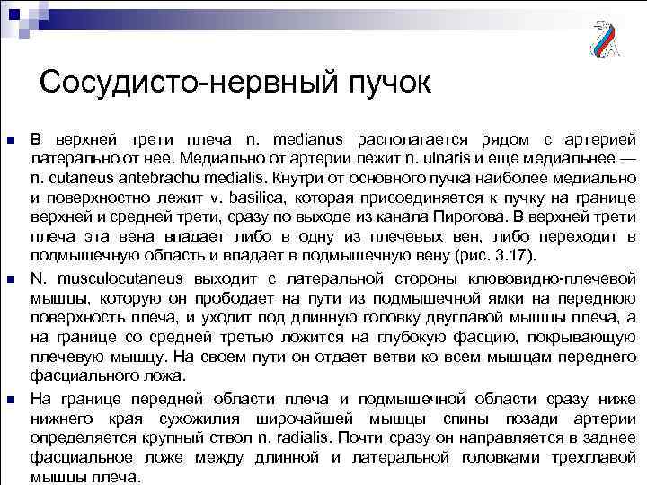 Сосудисто-нервный пучок n n n В верхней трети плеча n. medianus располагается рядом с