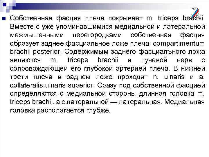 n Собственная фасция плеча покрывает m. triceps brachii. Вместе с уже упоминавшимися медиальной и