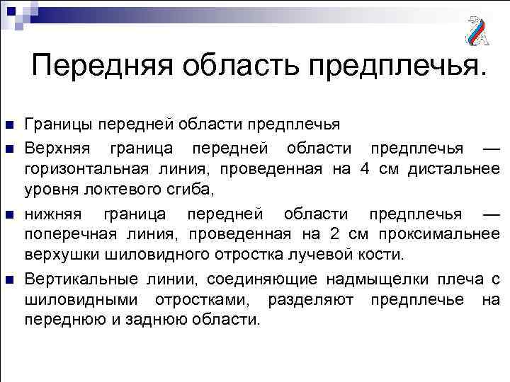 Передняя область предплечья. n n Границы передней области предплечья Верхняя граница передней области предплечья