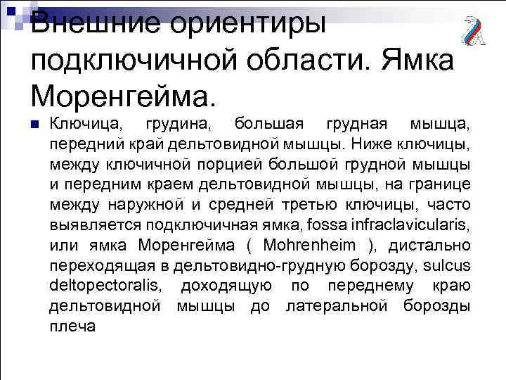 Внешние ориентиры подключичной области. Ямка Моренгейма. n Ключица, грудина, большая грудная мышца, передний край