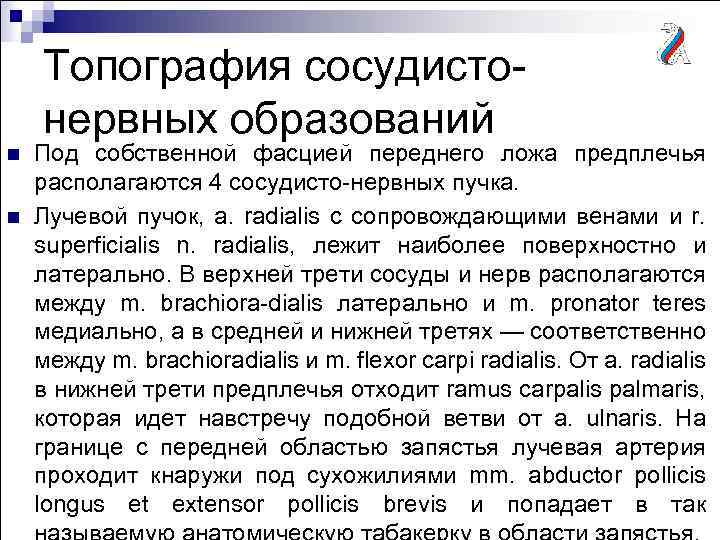 Топография сосудистонервных образований n n Под собственной фасцией переднего ложа предплечья располагаются 4 сосудисто-нервных
