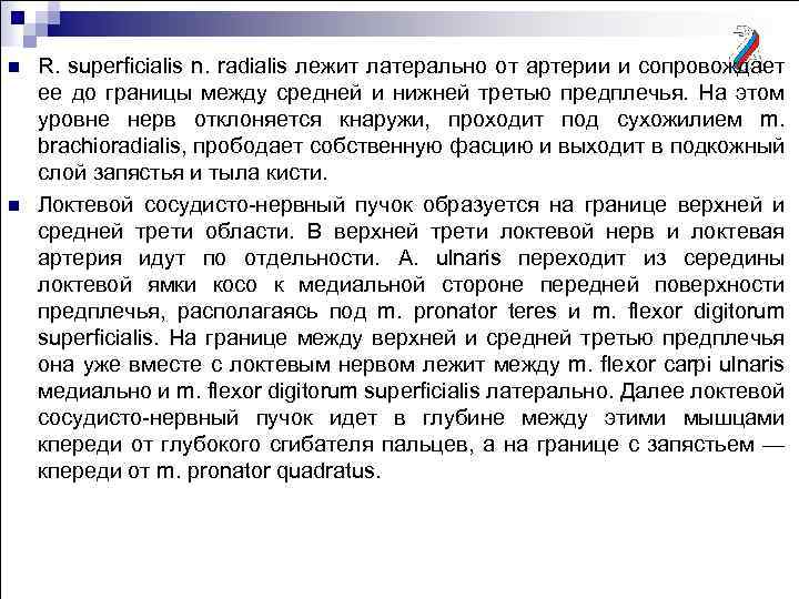 n n R. superficialis n. radialis лежит латерально от артерии и сопровождает ее до