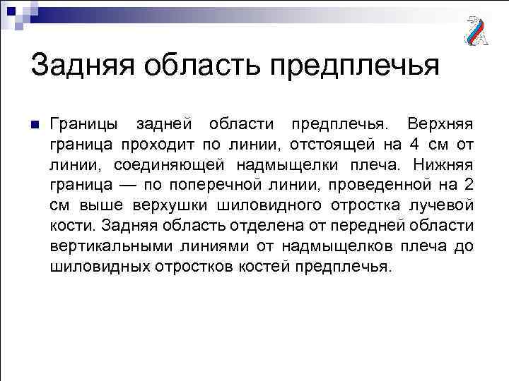 Задняя область предплечья n Границы задней области предплечья. Верхняя граница проходит по линии, отстоящей