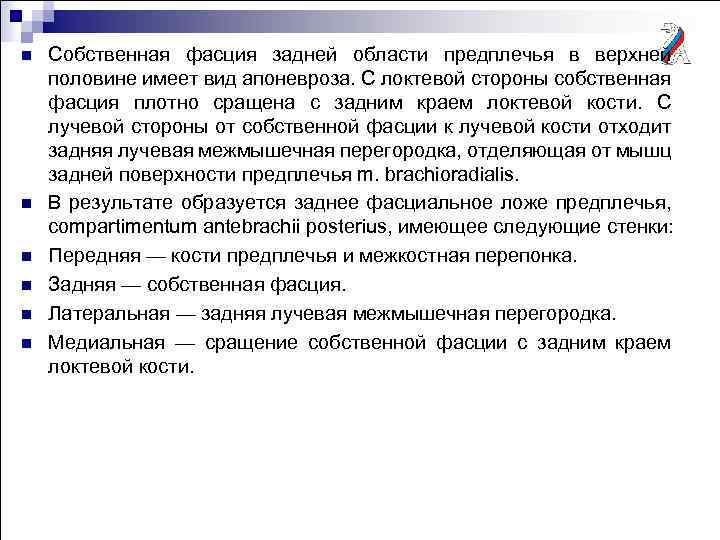 n n n Собственная фасция задней области предплечья в верхней половине имеет вид апоневроза.