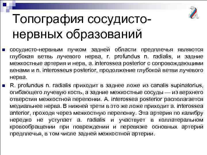 Топография сосудистонервных образований n n сосудисто-нервным пучком задней области предплечья являются глубокая ветвь лучевого