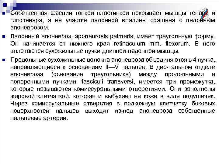 n n n Собственная фасция тонкой пластинкой покрывает мышцы тенара и гипотенара, а на