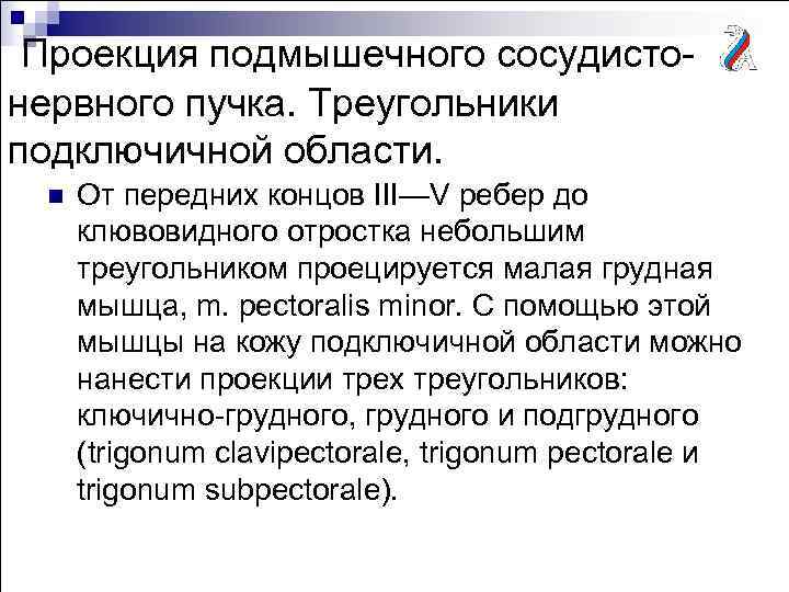 Проекция подмышечного сосудистонервного пучка. Треугольники подключичной области. n От передних концов III—V ребер до