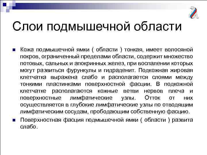 Слои подмышечной области n n Кожа подмышечной ямки ( области ) тонкая, имеет волосяной