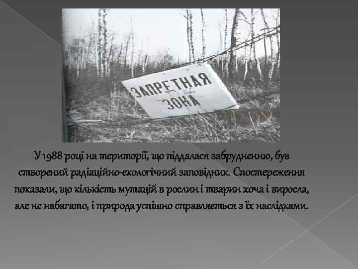 У 1988 році на території, що піддалася забрудненню, був створений радіаційно-екологічний заповідник. Спостереження показали,