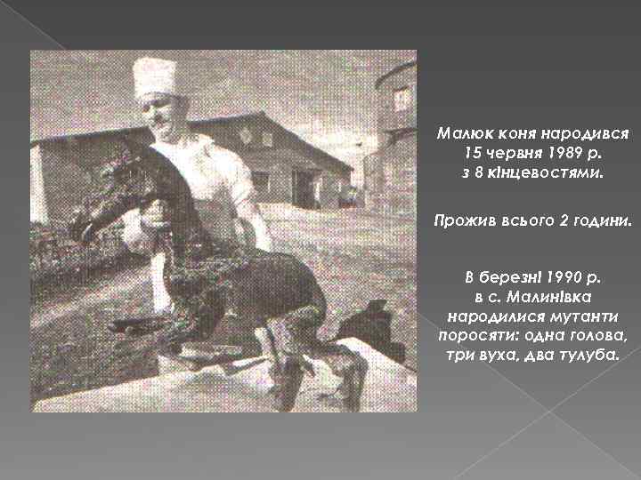 Малюк коня народився 15 червня 1989 р. з 8 кінцевостями. Прожив всього 2 години.