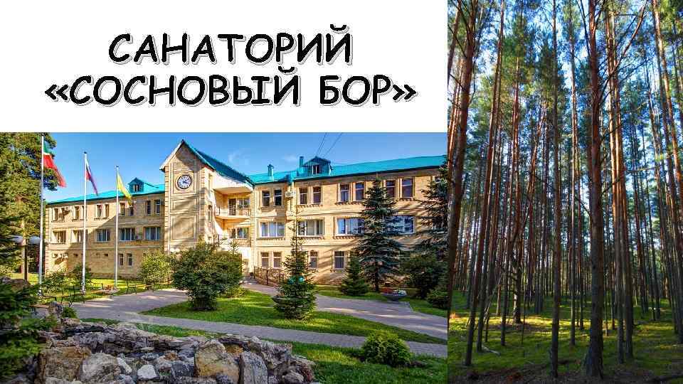 САНАТОРИЙ «СОСНОВЫЙ БОР» 