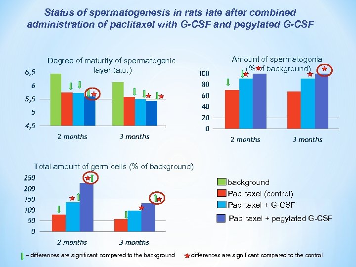 Status of spermatogenesis in rats late after combined administration of paclitaxel with G-CSF and