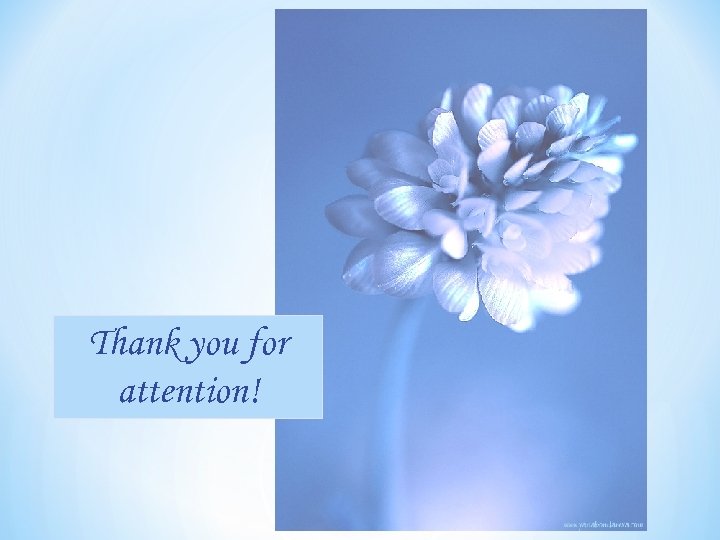 Thank you for attention! 