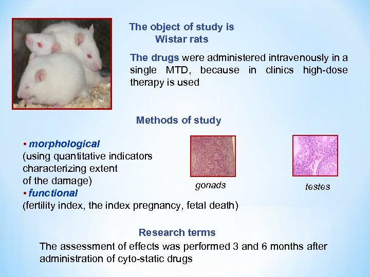 The object of study is Wistar rats The drugs were administered intravenously in a