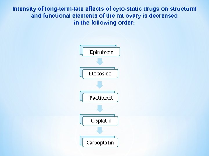 Intensity of long-term-late effects of cyto-static drugs on structural and functional elements of the