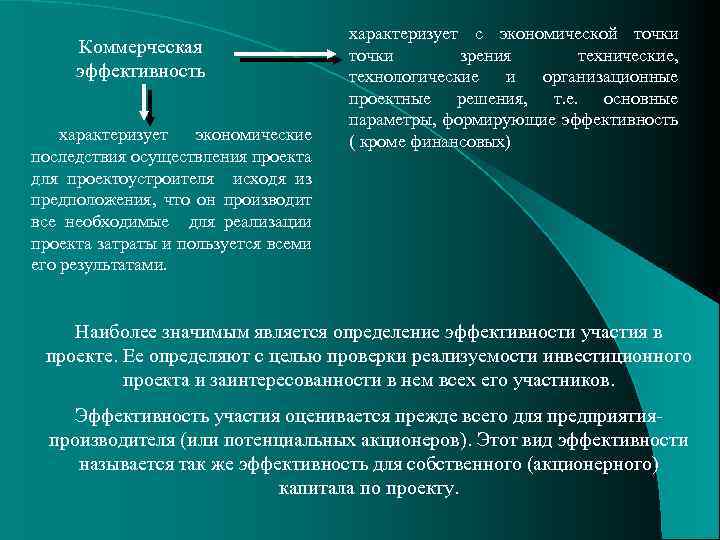 Теоретические аспекты экономической оценки инвестиционных проектов