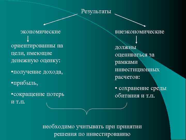 Теоретические аспекты экономической оценки инвестиционных проектов