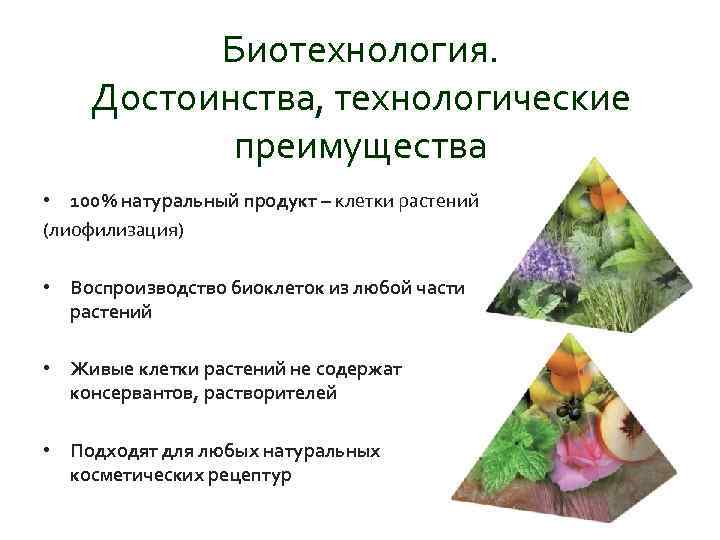 Биотехнология. Достоинства, технологические преимущества • 100% натуральный продукт – клетки растений (лиофилизация) • Воспроизводство