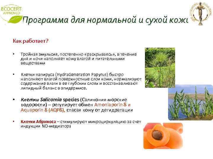 Программа для нормальной и сухой кожи Как работает? • Тройная эмульсия, постепенно «раскрываясь» ,