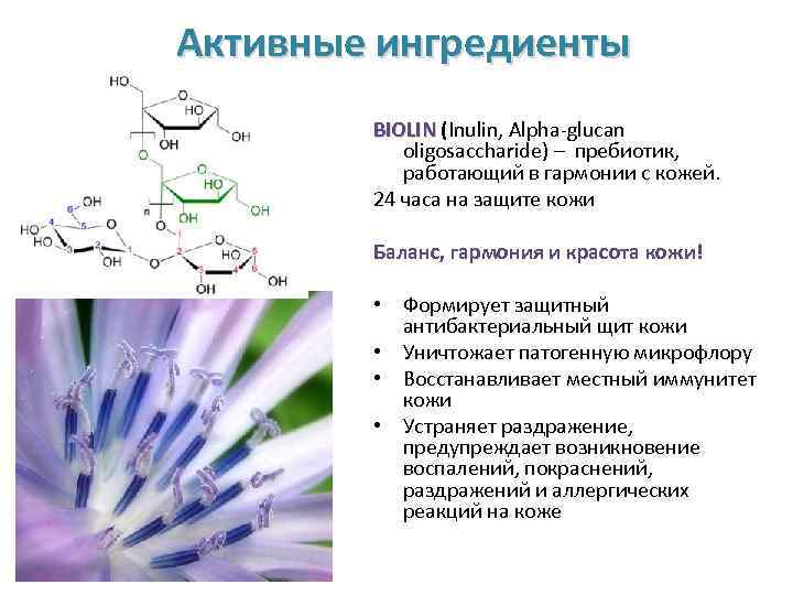 Активные ингредиенты BIOLIN (Inulin, Alpha-glucan oligosaccharide) – пребиотик, работающий в гармонии с кожей. 24
