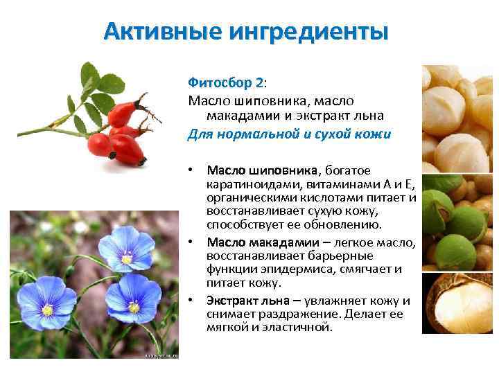 Активные ингредиенты Фитосбор 2: Масло шиповника, масло макадамии и экстракт льна Для нормальной и