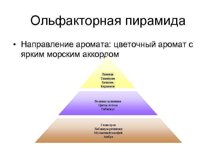 Пирамида туалетной воды. Ольфакторная пирамида аромата. Ольфакторная пирамида эфирных масел. Пирамида парфюмерной композиции. Пирамида нот ароматов.