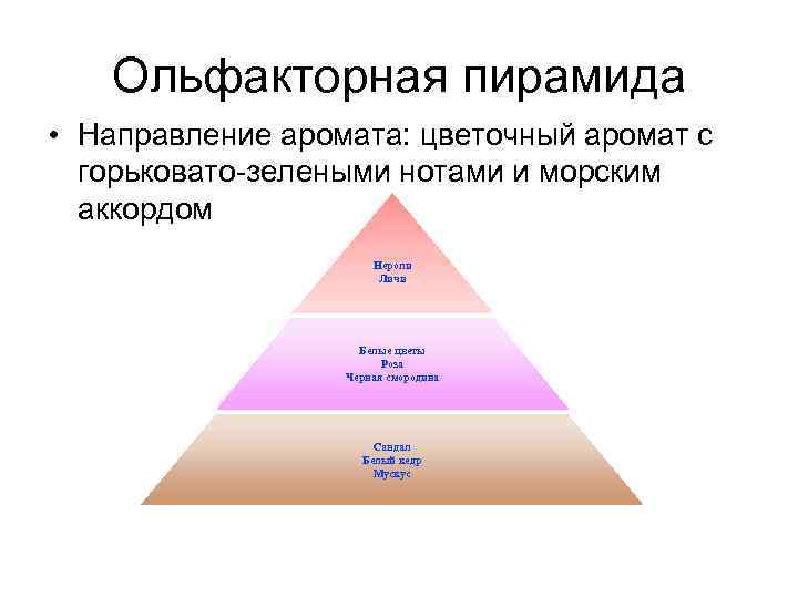 Ольфакторный. Ольфактивная пирамида ароматов. Ольфакторная пирамида в парфюмерии. Пирамида духов. Треугольник ароматов.