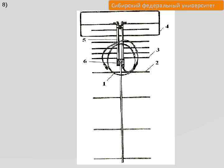 8) Сибирский федеральный университет 