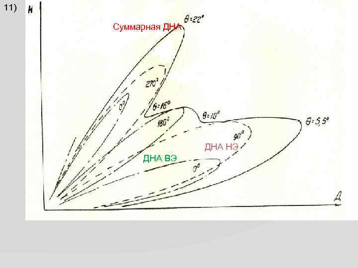 11) Суммарная ДНА НЭ ДНА ВЭ 