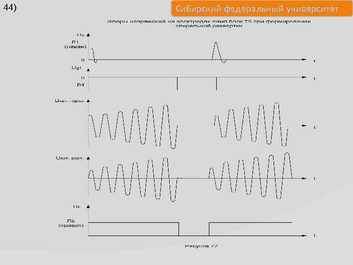 44) Сибирский федеральный университет 