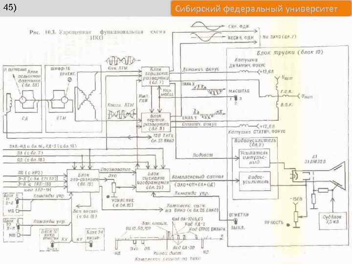 45) Сибирский федеральный университет 