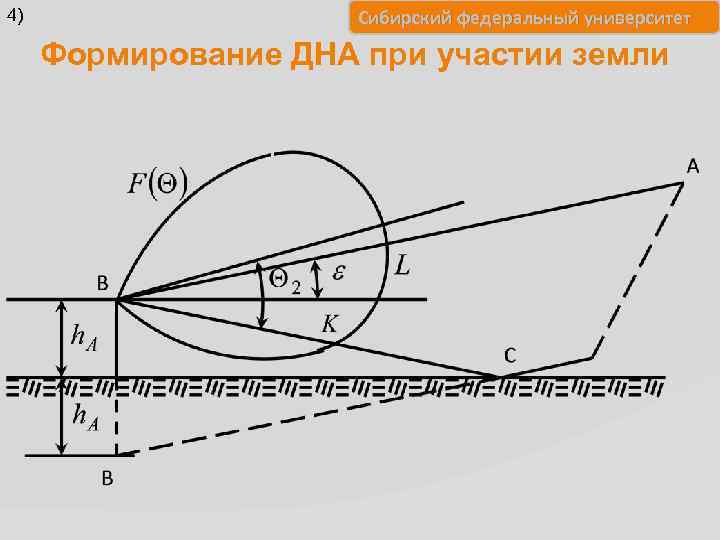 4) Сибирский федеральный университет Формирование ДНА при участии земли 
