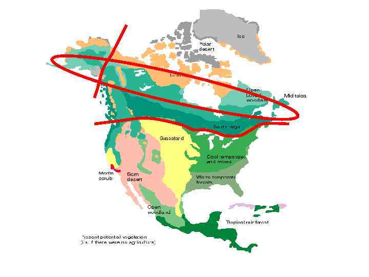 Богатство северной америки. Районы рекреационных ресурсов Северной Америки на карте. Туристско-рекреационные районы Северной Америки. Туристско рекреационные зоны Северной Америки. Районы концентрации рекреационных ресурсов Северной Америки.