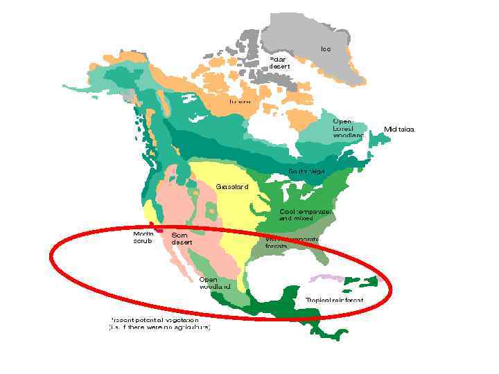 Тектонические структуры северной америки