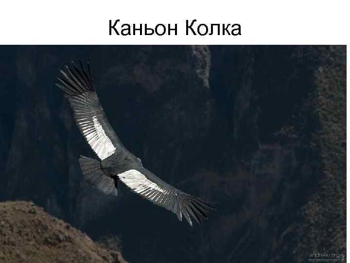 Каньон Колка 