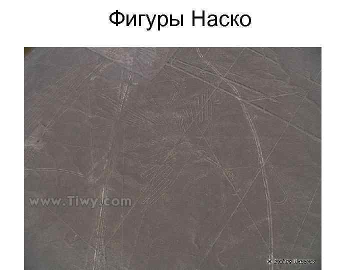 Фигуры Наско 