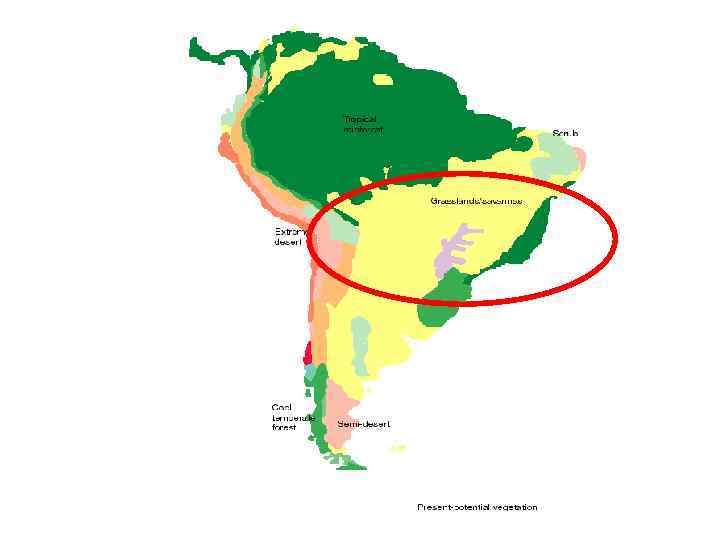 Природные области южной америки. Южная Америка гемигилеи на карте. Гемигелеи на карте Южной Америки. Гемигилеи Южной Америки. Гемигилеи Южной Америки климат.