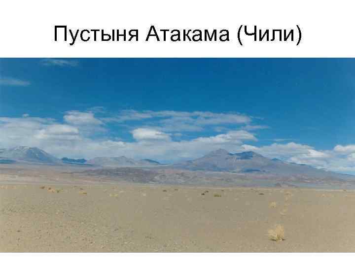 Пустыня Атакама (Чили) 