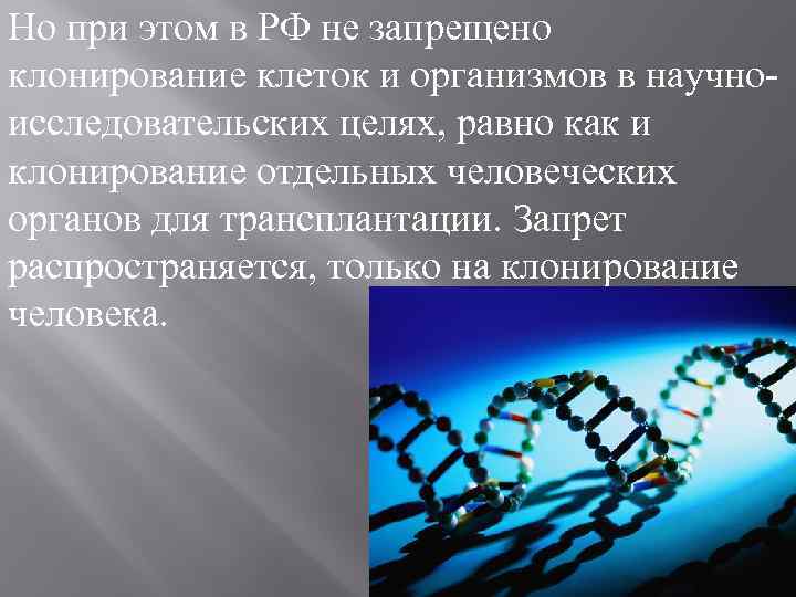 Но при этом в РФ не запрещено клонирование клеток и организмов в научноисследовательских целях,