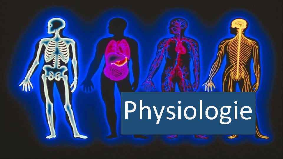 Physiologie 