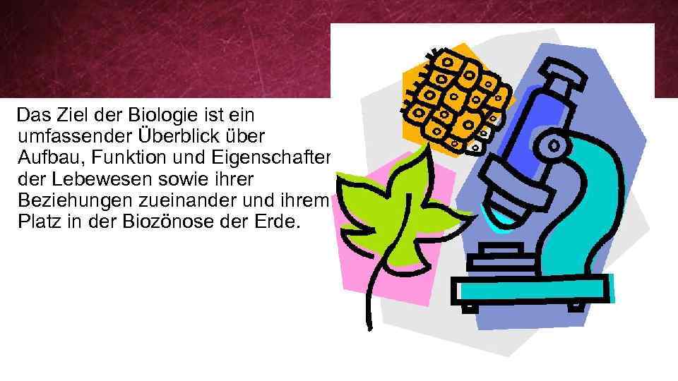  Das Ziel der Biologie ist ein umfassender Überblick über Aufbau, Funktion und Eigenschaften