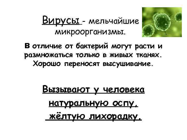 Вирусы - мельчайшие микроорганизмы. В отличие от бактерий могут расти и размножаться только в