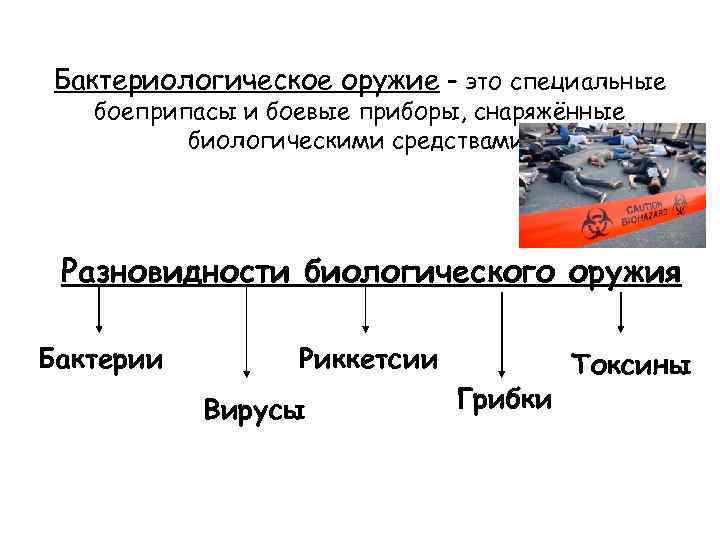 Бактериологическое оружие – это специальные боеприпасы и боевые приборы, снаряжённые биологическими средствами. Разновидности биологического