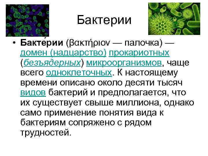Бактерии • Бакте рии (βακτήριον — палочка) — домен (надцарство) прокариотных (безъядерных) микроорганизмов, чаще