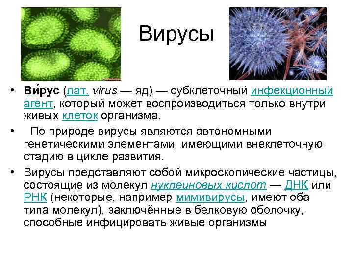 Вирус является формой жизни. Вирусы и бактерии в организме человека. Способы передвижения. У вирусов. Вирусы передвигаются с помощью. Вирусы активны.