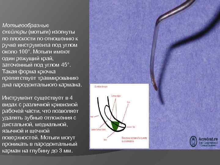 Мотыгообразные скейлеры (мотыги) изогнуты по плоскости по отношению к ручке инструмента под углом около