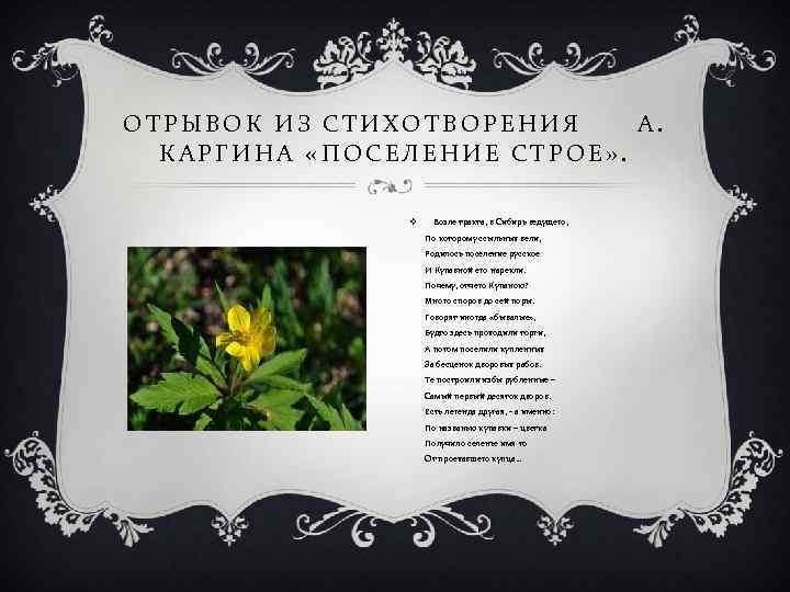 ОТРЫВОК ИЗ СТИХОТВОРЕНИЯ А. КАРГИНА «ПОСЕЛЕНИЕ СТРОЕ» . v Возле тракта, в Сибирь ведущего,