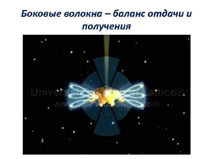 Боковые волокна – баланс отдачи и получения 