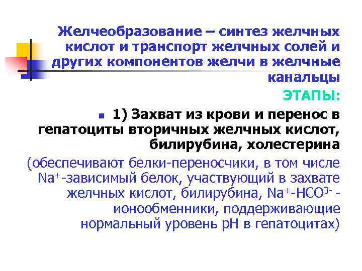 Желчеобразование – синтез желчных кислот и транспорт желчных солей и других компонентов желчи в